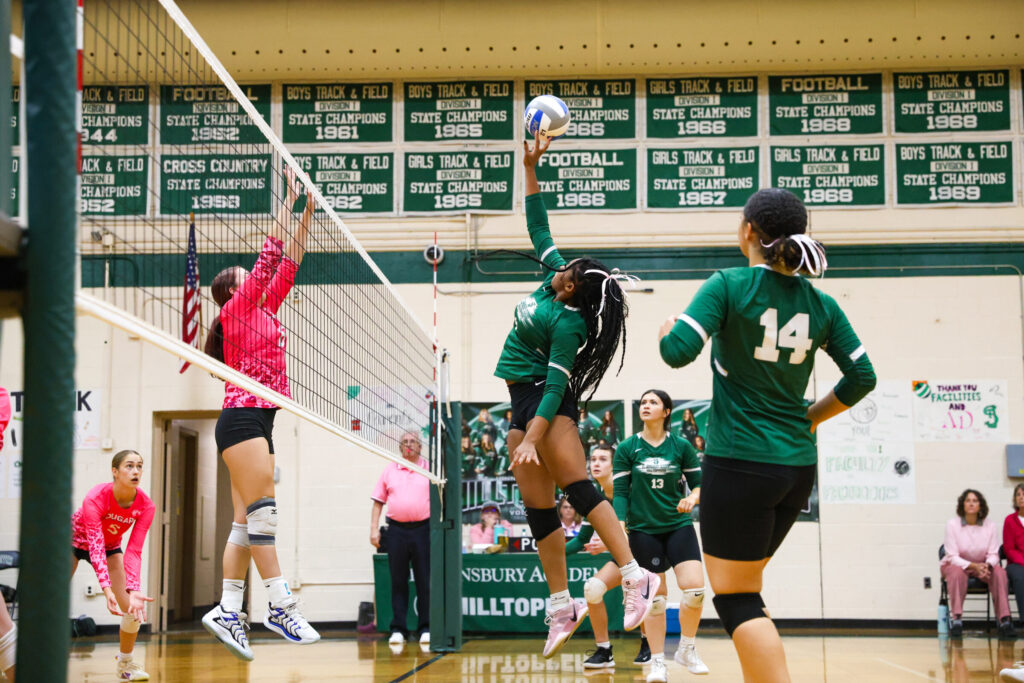 Sporten in het buitenland - Volleybal